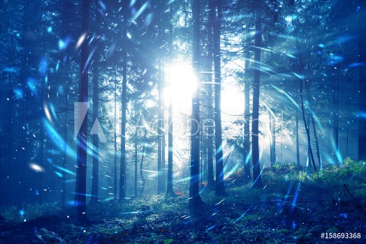 Picture of Blue foggy forest fairytale with spiral circle fireflies bokeh background Color filter effect used